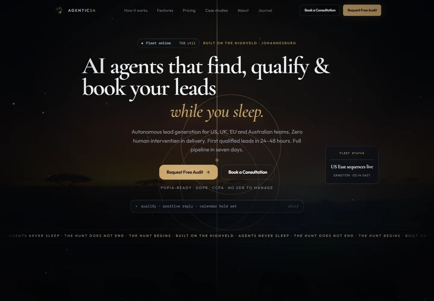 Our completed Agentic SA website